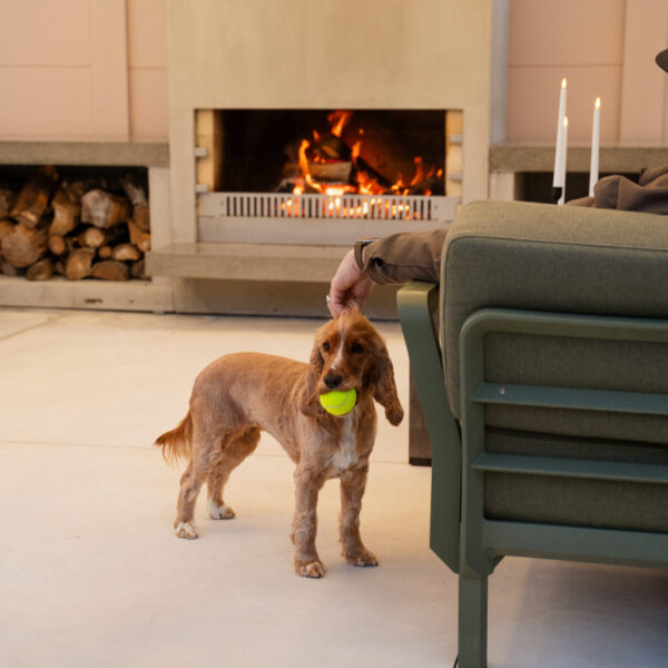 Dog with a tennis ball in front of a lit outdoor firebox, with an armchair pulled in close